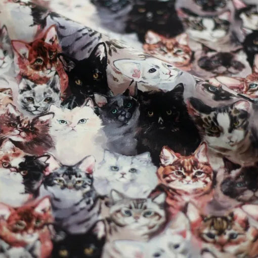 Women Pink "Find your Cat" Ballet Onesies