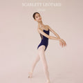 Scarlet Leotard Gold Navy/Gold Navy